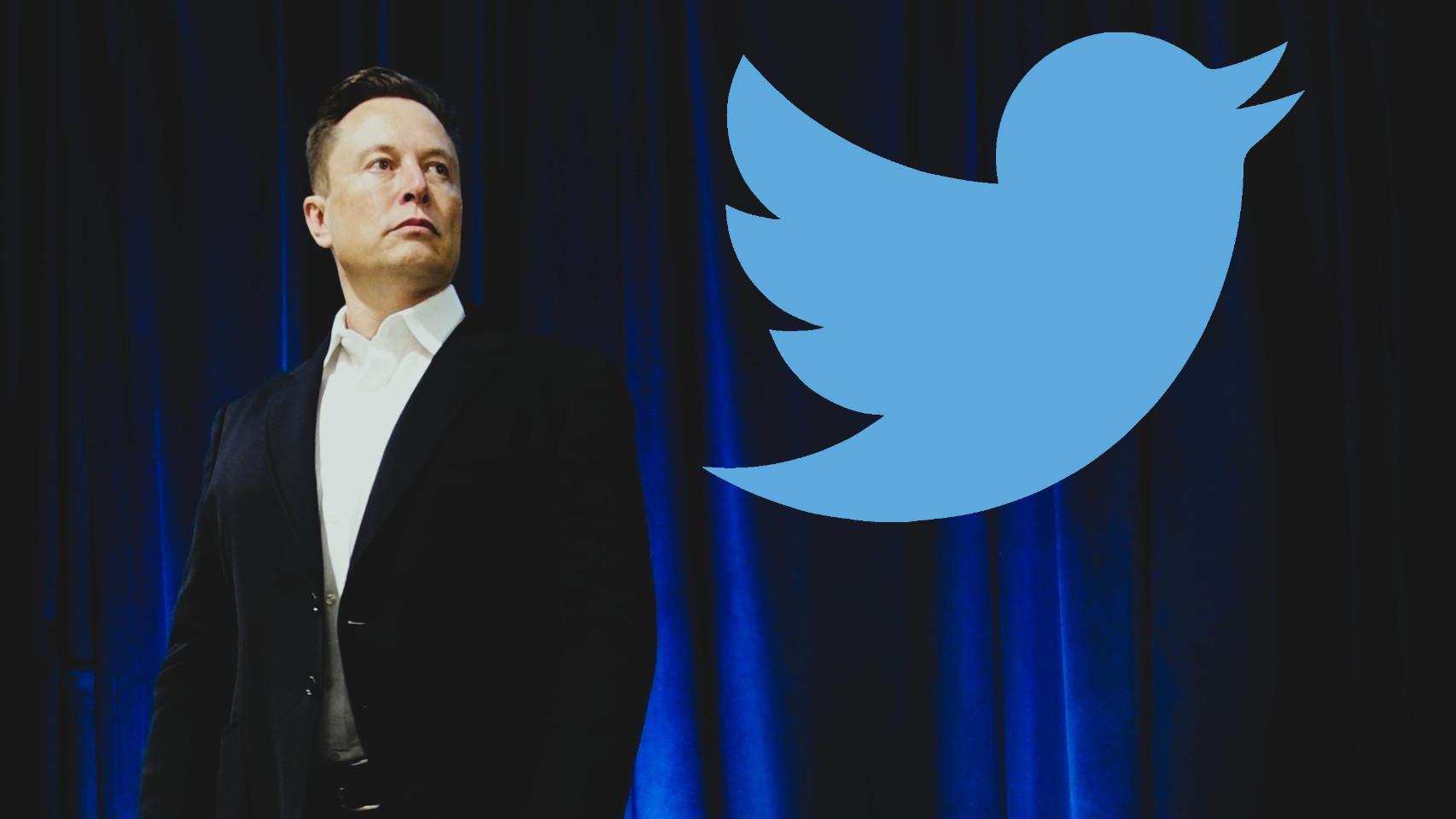 twitter puede volver a la vida. un olvido de elon musk hace que la red social pueda ser revivida con otros propietarios