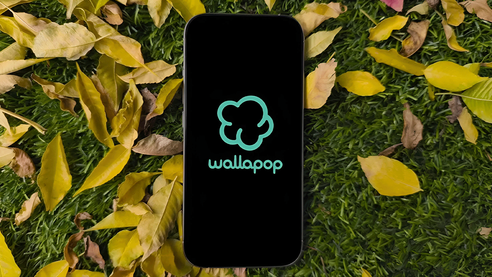 Comprar tecnología en Wallapop: esta es la garantía que el vendedor tiene que darte comprar tecnología en wallapop: esta es la garantía que el vendedor tiene que darte